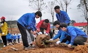 我校80余名师生共植青年林